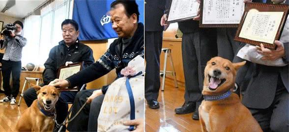 狗子为破案出了力，警局的奖励是狗粮，它领奖的样子有点真实