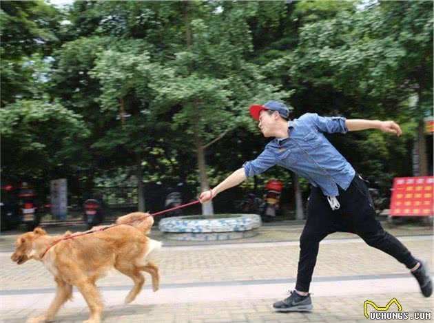 Stop！这5种遛狗方式，对狗狗危害很大，严重的会“夺命”