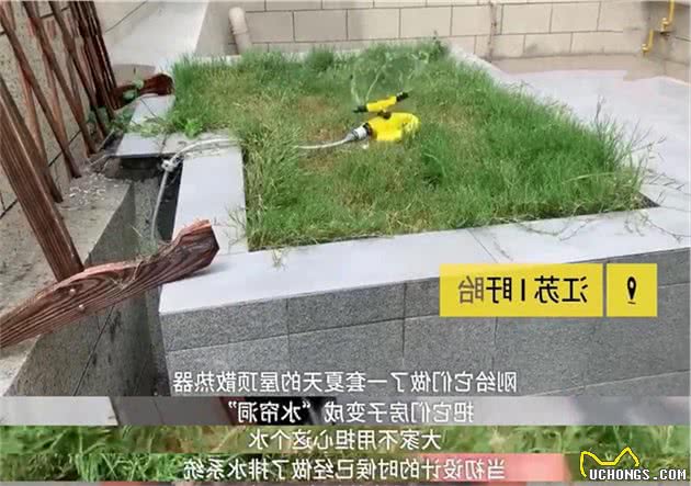 嫉妒了！主人花万元为狗建别墅：还有空调