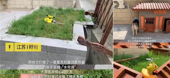 嫉妒了！主人花万元为狗建别墅：还有空调