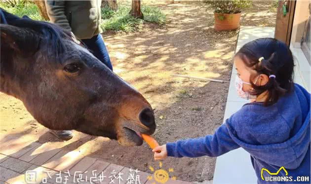 小晞最爱的狗狗离世，我教孩子如何面对生死，学会珍惜生命