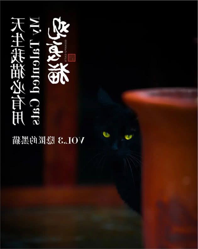 就因为脸黑，这猫也太难了
