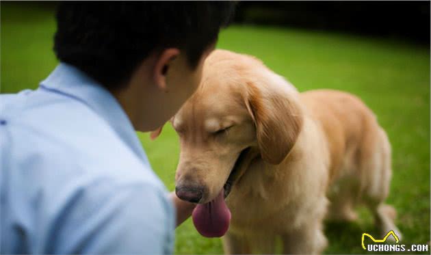 “聪明狗”都会的几个技能，你家狗狗学会了吗？