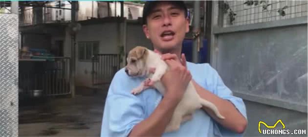 黄宗泽痛失爱犬与一只沙皮狗结缘决定领养呼吁大家领养代替购买