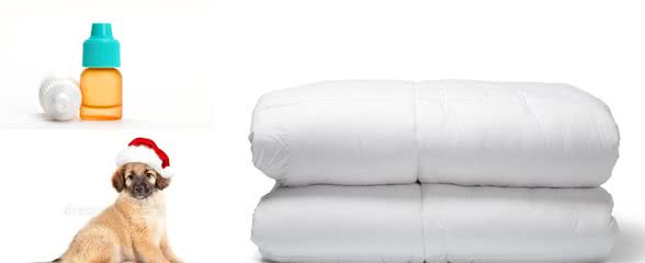 狗狗感冒症状有哪些