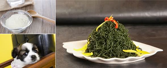 养宠分享：小狗可以吃人的钙片吗有问题吗