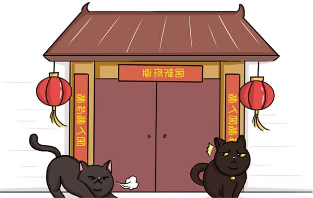 什么？到现在还有人认为狸花猫很土？做人不要太崇洋媚外哦