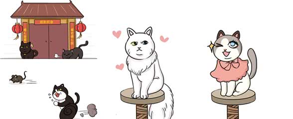 什么？到现在还有人认为狸花猫很土？做人不要太崇洋媚外哦
