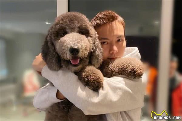狗狗不让你抱?这几招“错误抱狗姿势”,很多人还在用