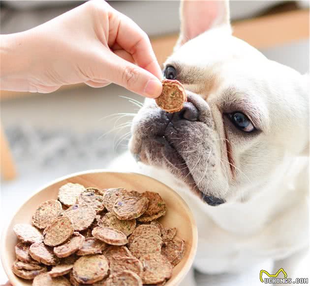 如何挑选狗狗零食？狗狗零食如何选择？看这篇就够了