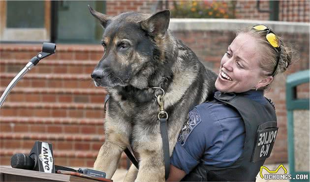 这些警犬比大多数人都勇敢