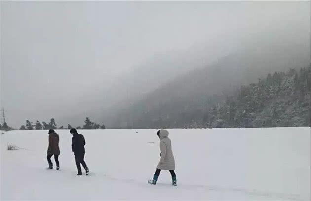 大山深处，两个女子带着一条黄狗，守护着万亩生态林