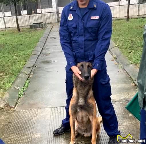 警犬体检，被吓得瑟瑟发抖，洋相百出，警犬：我也是个宝宝啊