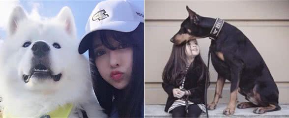 爆！养公狗的好处，怪不得女生都爱养