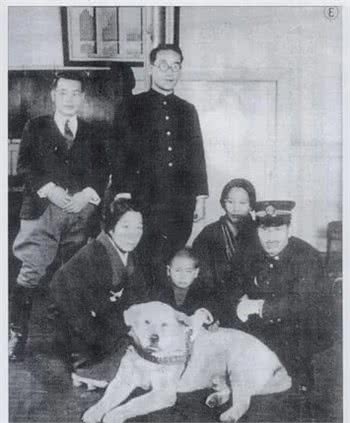 东京除了有忠犬八公，还有其他感人的狗狗值得纪念