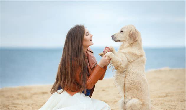 训练拉布拉多犬时，这几种方式不可取，后果你承受不住