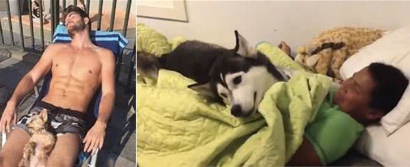 养狗狗好处有哪些？专家指出这5大优点，奴才猛点头：真的