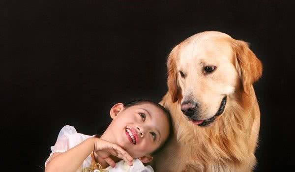 金毛犬的奇怪行为，你知道背后的意思吗？