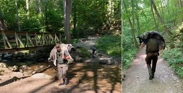 爬山遇到一只中暑昏倒的大狗，护林员背起它就往山下跑