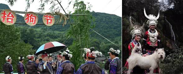 抬狗节：专门为狗子设立的节日，狗子原型是贵州下司犬