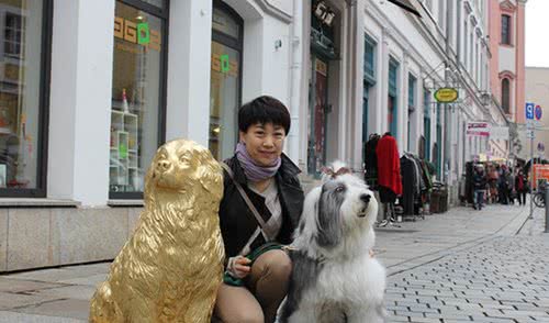 一只来自中国的英国古典牧羊犬在欧洲各国大街小巷跑跑跑