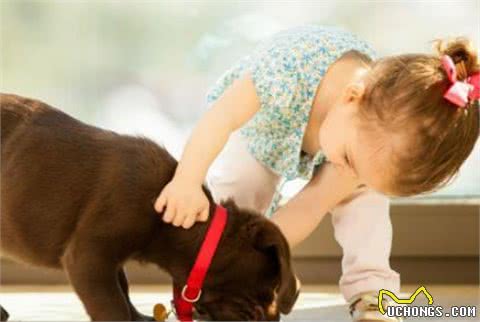 秋季养狗，掌握5大禁忌事项，希望你能为爱犬做好准备