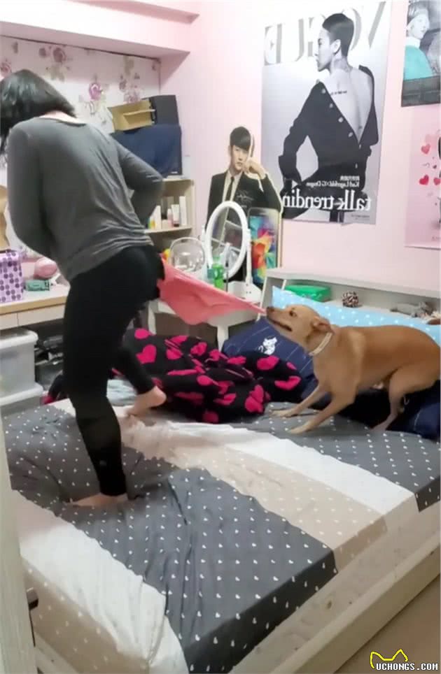 狗狗跟关系超好的小主人“撕扯”起来，竟是为了抢主人的毛巾