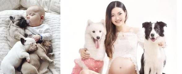 怀孕期间到底可不可以养狗呢？