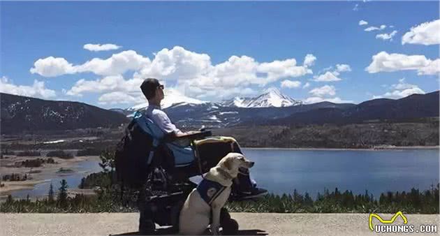 服务犬过生日，主人让它自行挑选礼物，狗狗选的礼物让人泪目