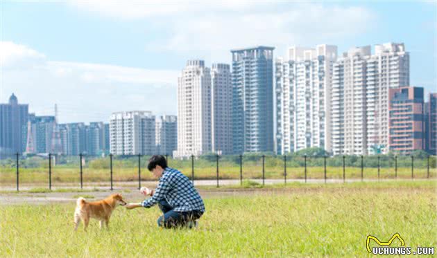 狗狗对陌生亲戚吠叫甚至咬人，是正常的！但主人该怎么避免？