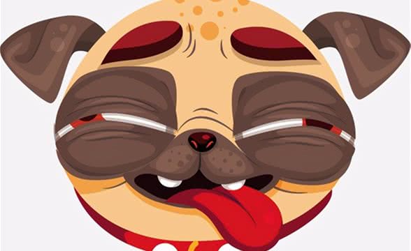 一生中，我们难免会遇到哈巴狗那哈巴狗的脸究竟是什么样的呢？