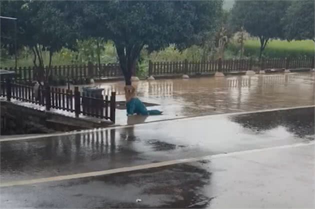 湖南一主人去上班狗子跳上副驾驶，被套路后气得在院子淋雨2小时