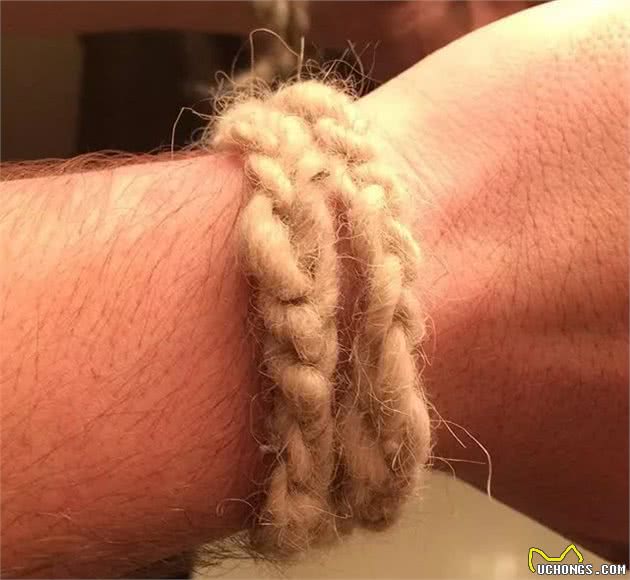 你家狗狗爱掉毛吗？