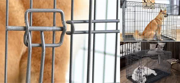 如何挑选狗笼？铲屎官们，这几点要注意