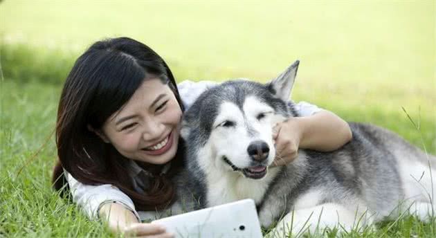 这几种狗狗很受女生欢迎，男生想讨女生欢心，赶紧养一只吧