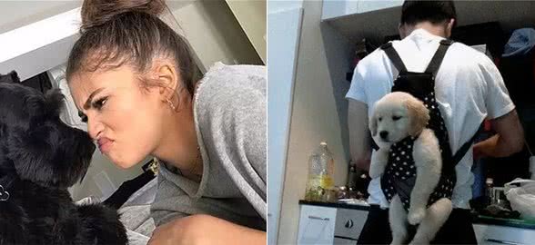 为什么狗狗更喜欢女主人？这6点理由，男主人不得不服