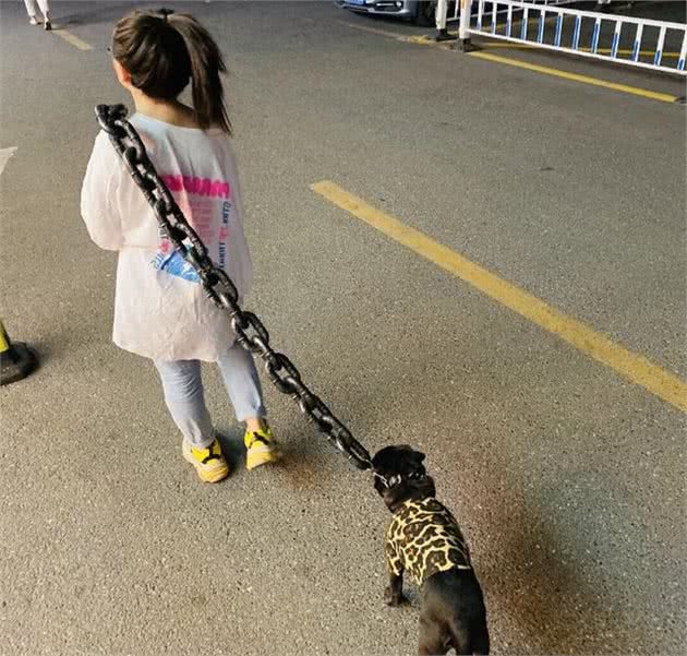 女子看狗狗脖子上戴着铁链，以为有人在虐狗，了解后却笑出声
