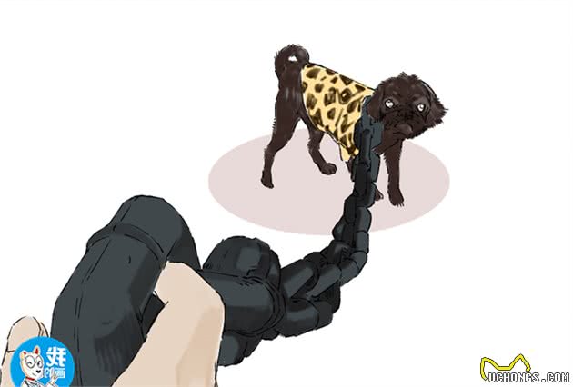 女子看狗狗脖子上戴着铁链，以为有人在虐狗，了解后却笑出声