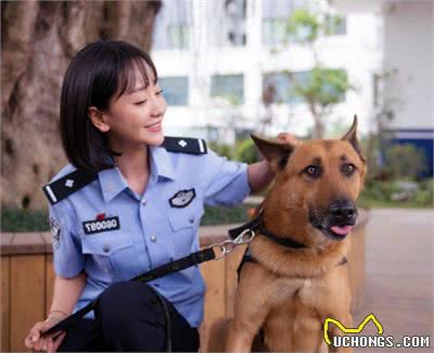 中国警犬添加新成员了！这几种狗狗你认识吗？