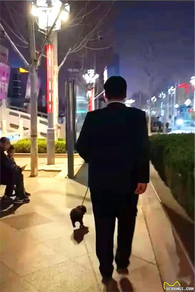 聊城养犬新规“落地有声”