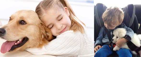 狗狗有这“6个表现”，说明把你当“孩子”了，你家狗狗有吗？