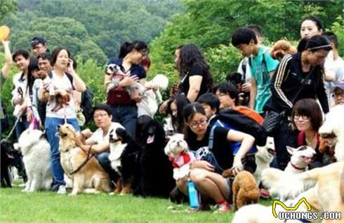 家有狗狗，这些好处，你体会到几个？