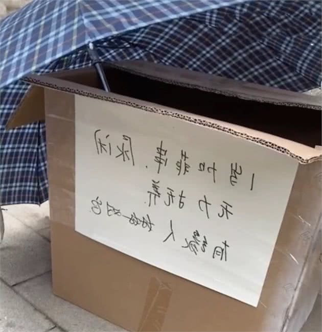 加菲猫被遗弃在雨中，但看到主人留下的字条后，我释然了