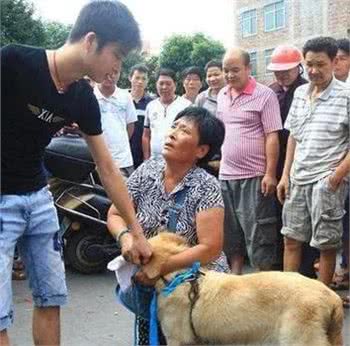 论极致爱狗人士的精神世界