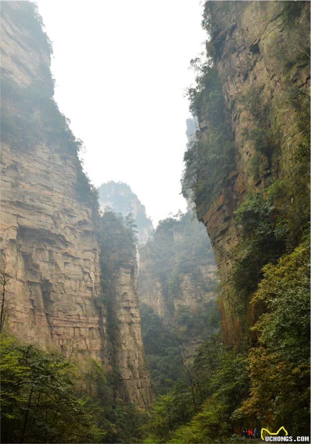 谁说土狗比洋狗笨?小伙带着土狗去旅行，能看包背水