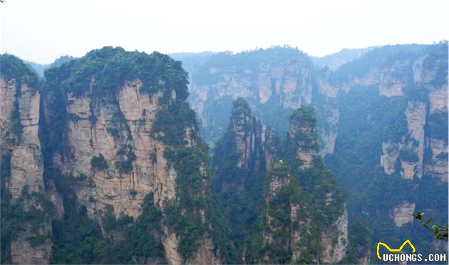 谁说土狗比洋狗笨?小伙带着土狗去旅行，能看包背水