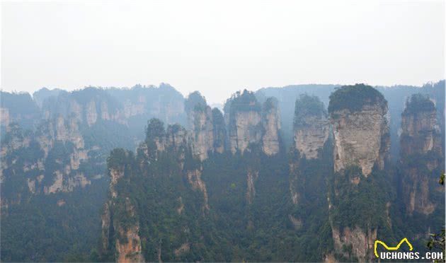 谁说土狗比洋狗笨?小伙带着土狗去旅行，能看包背水