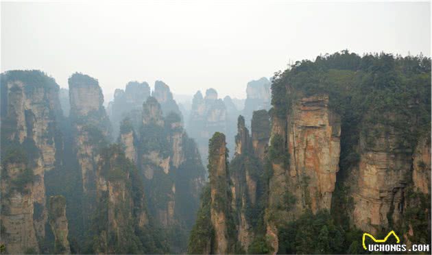 谁说土狗比洋狗笨?小伙带着土狗去旅行，能看包背水