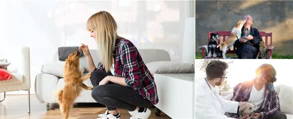 如果家里有癫痫病人,养狗狗吧