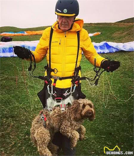 狗子飞上天！美国一男子带澳洲牧羊犬乘坐滑翔机，狗子丝毫不慌